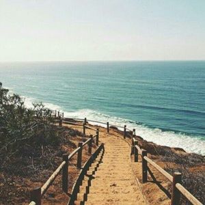 Meet your Posher, Bella